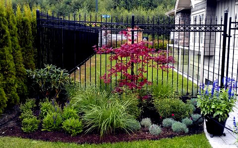 Front Yard After
