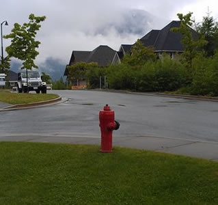 Front Yard Before